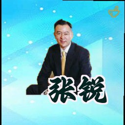张锐